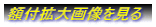 �g��摜������